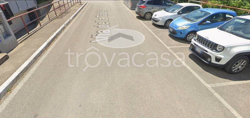 immagine annuncio 5 di 12