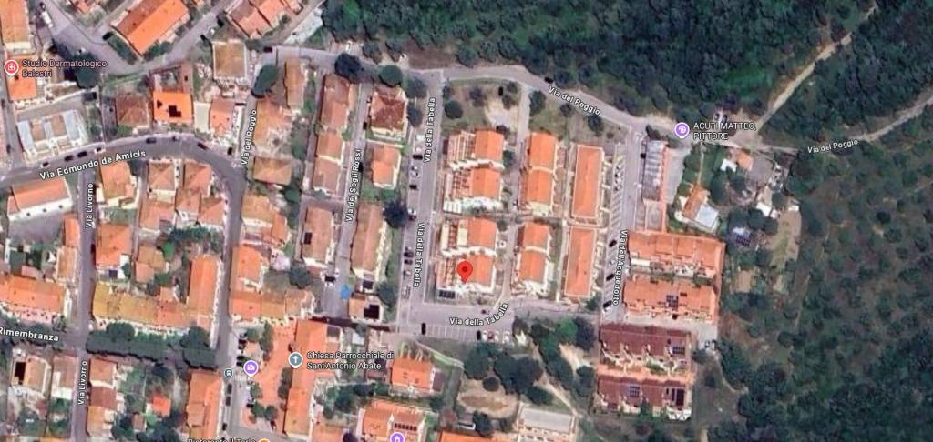 immagine annuncio 10 di 12