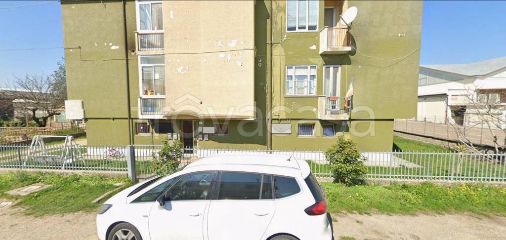 immagine annuncio 1 di 14