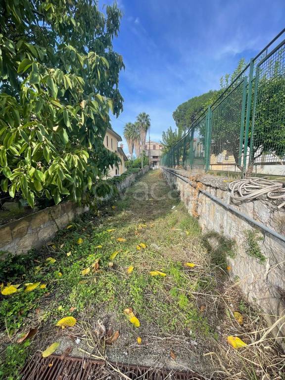 immagine annuncio 11 di 14