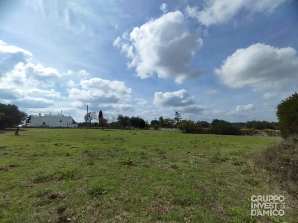 immagine annuncio 4 di 6