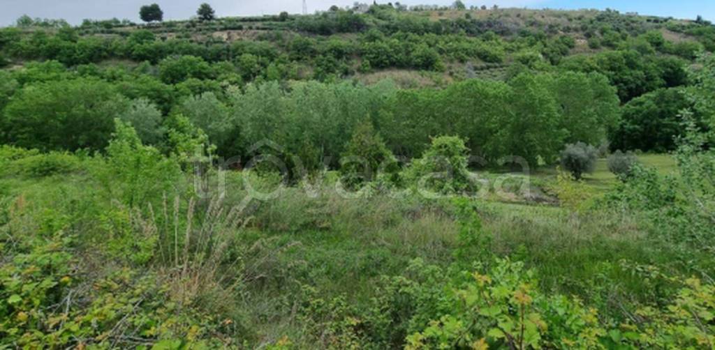 immagine annuncio 8 di 11