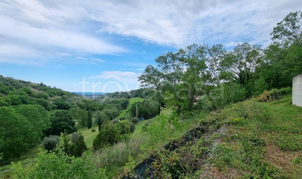 immagine annuncio 9 di 11