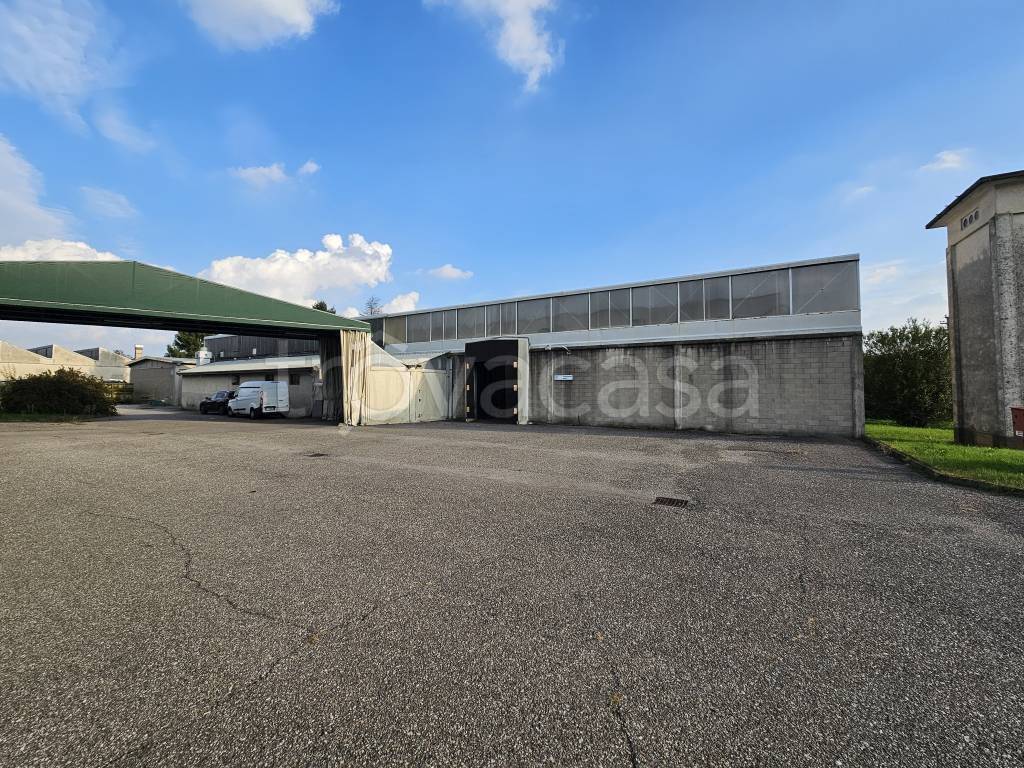 immagine annuncio 12 di 15