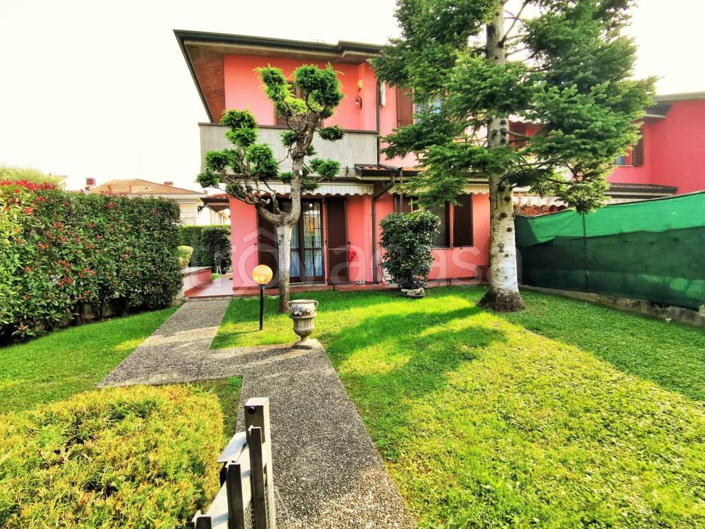 immagine annuncio 1 di 15