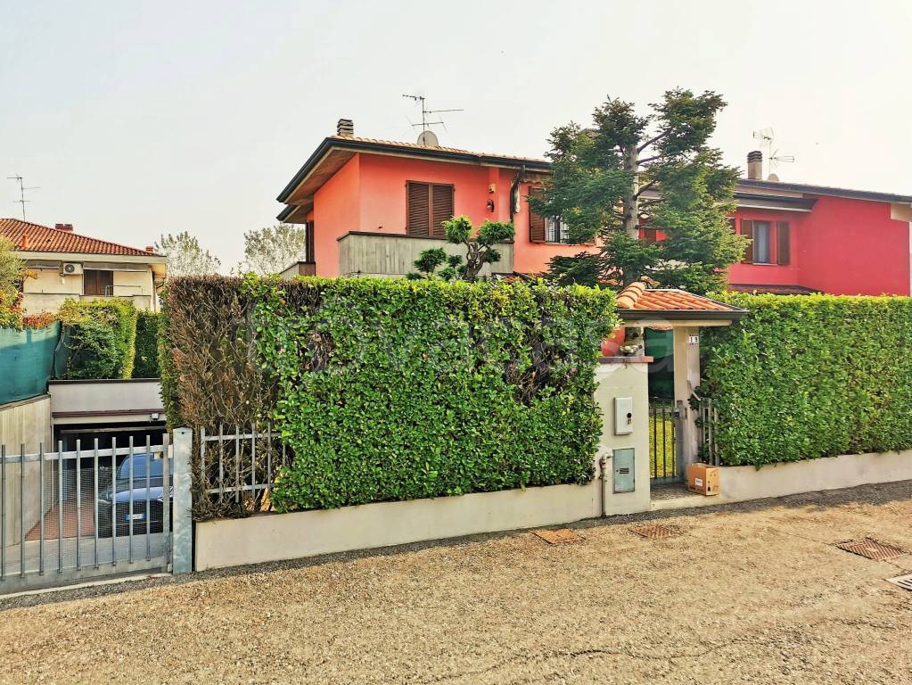 immagine annuncio 12 di 15