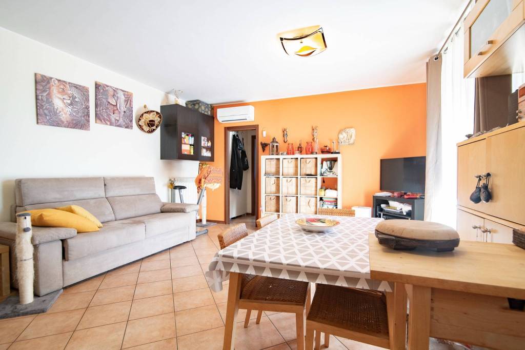 immagine annuncio 2 di 14