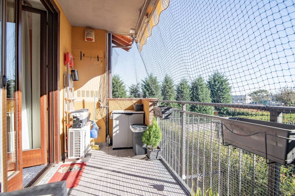 immagine annuncio 11 di 14