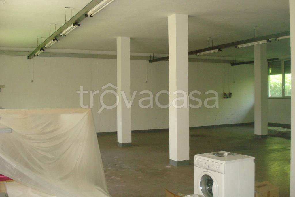 immagine annuncio 3 di 13