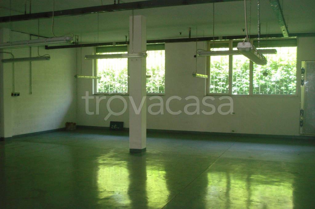 immagine annuncio 7 di 13