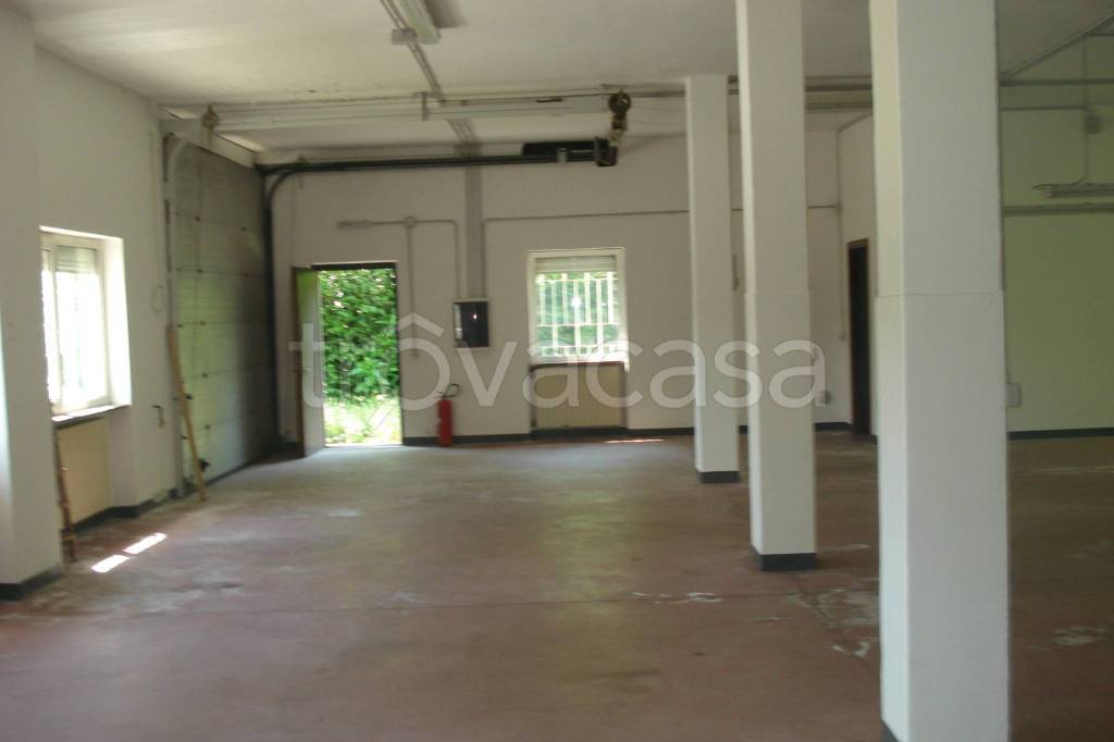 immagine annuncio 9 di 13