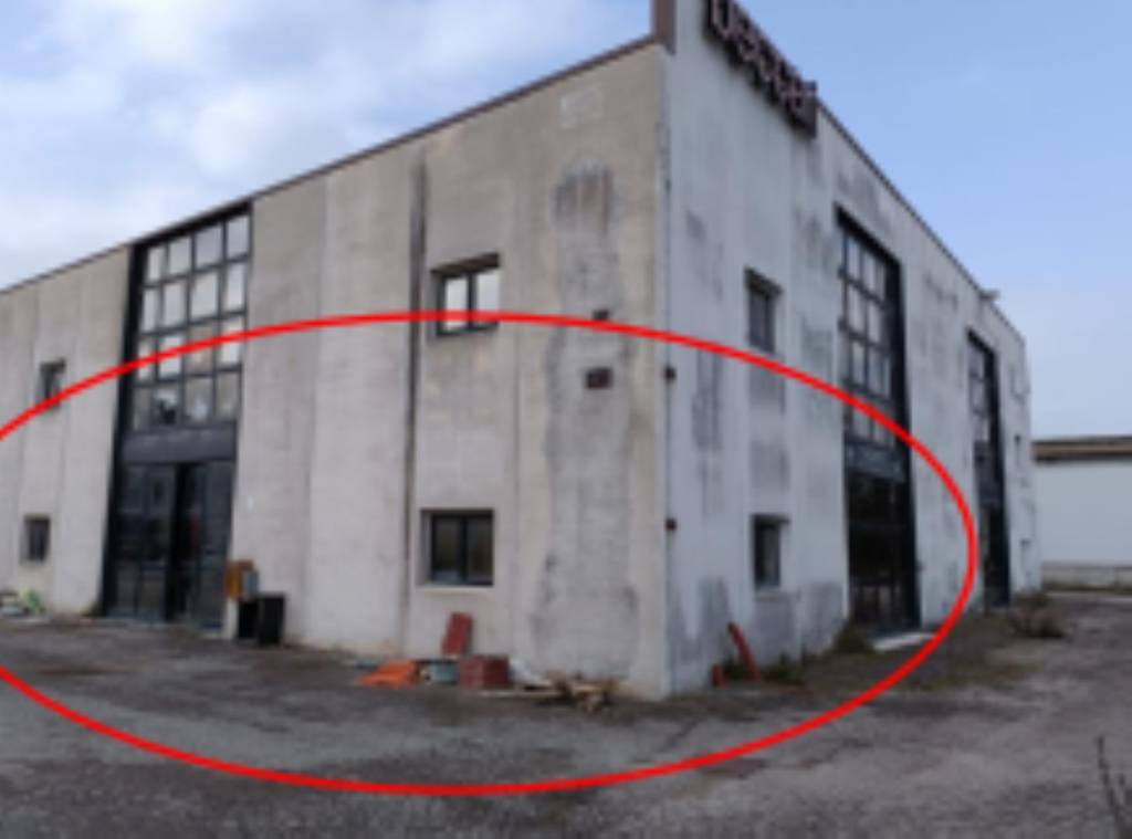 immagine annuncio 2 di 11