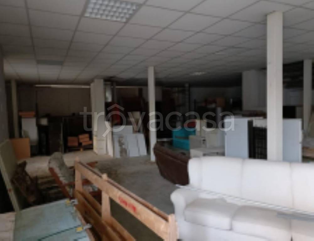 immagine annuncio 7 di 11