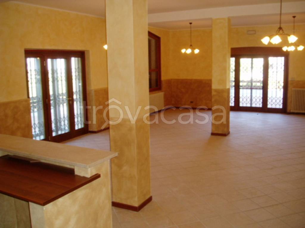 immagine annuncio 5 di 7