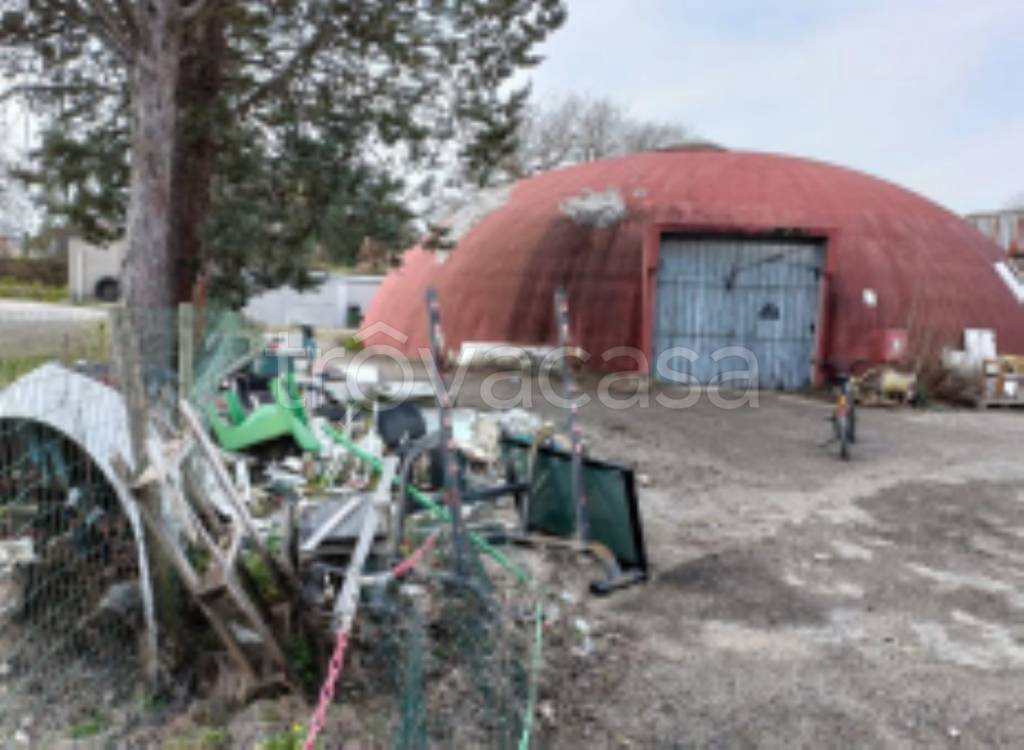 immagine annuncio 4 di 11