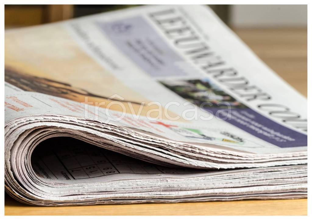 immagine annuncio 3 di 13