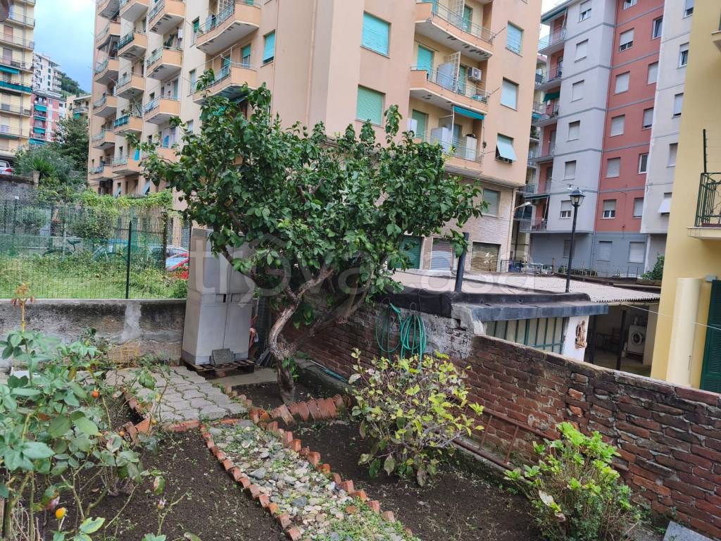 immagine annuncio 12 di 14