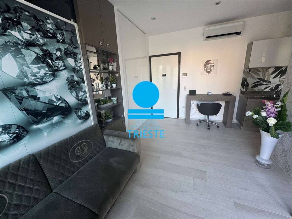 immagine annuncio 7 di 12