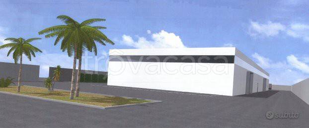 immagine annuncio 2 di 6