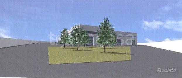 immagine annuncio 5 di 6