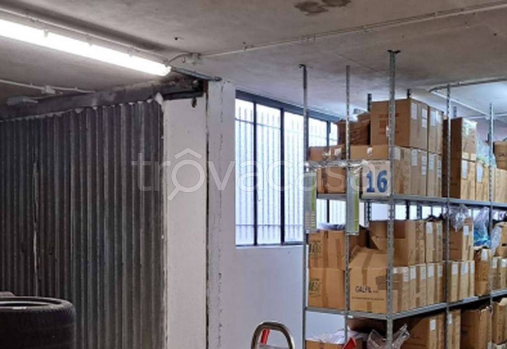 immagine annuncio 5 di 12