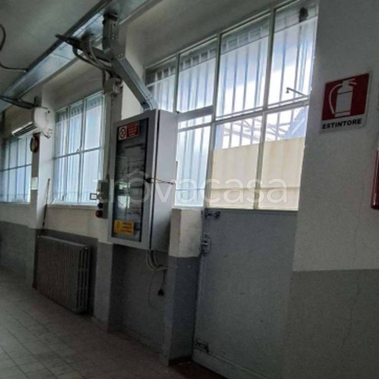 immagine annuncio 7 di 12