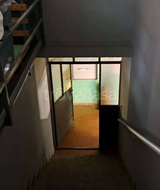 immagine annuncio 9 di 12