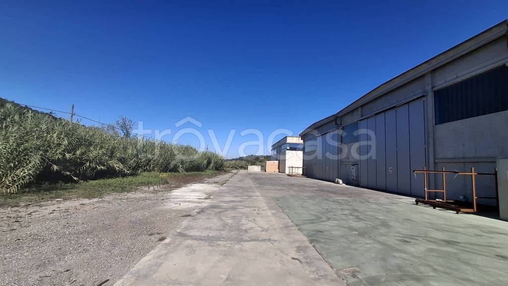 immagine annuncio 5 di 7