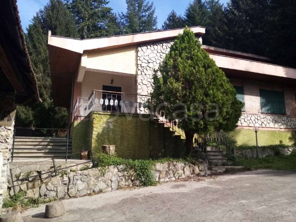 immagine annuncio 2 di 7