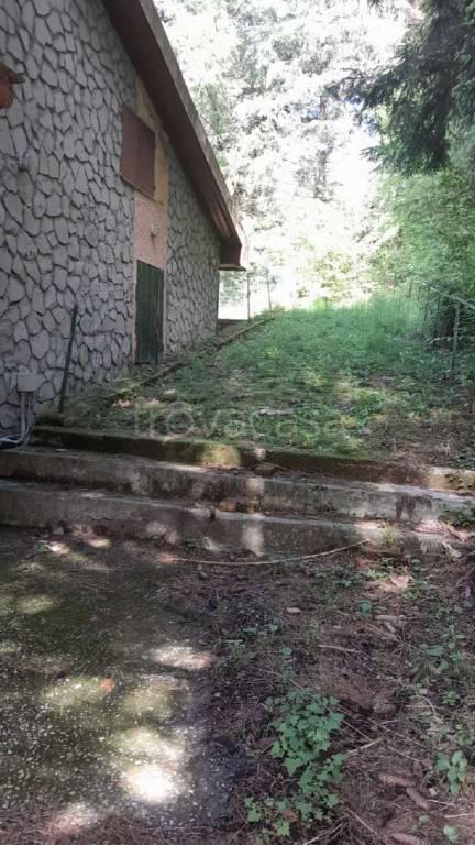 immagine annuncio 6 di 7