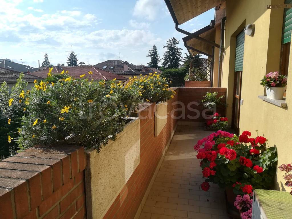 immagine annuncio 8 di 15