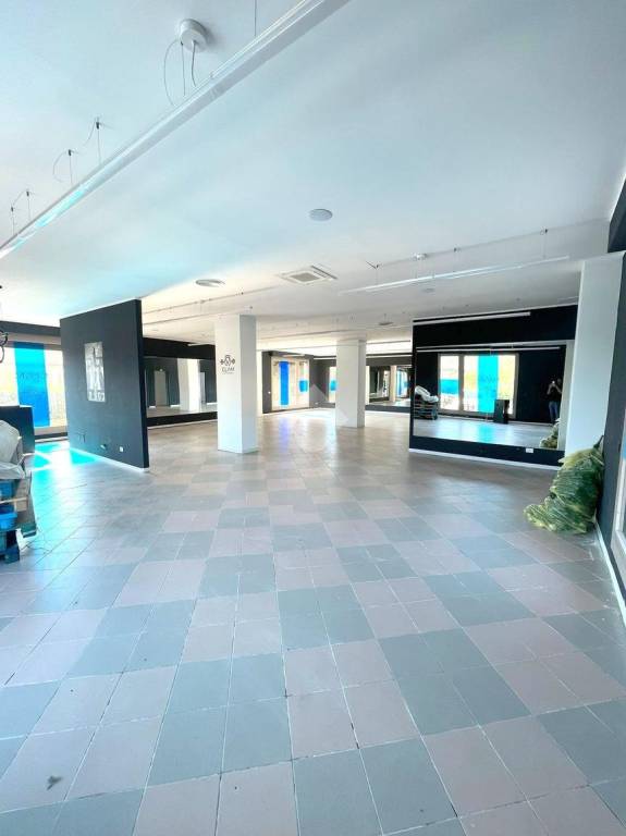 immagine annuncio 6 di 12