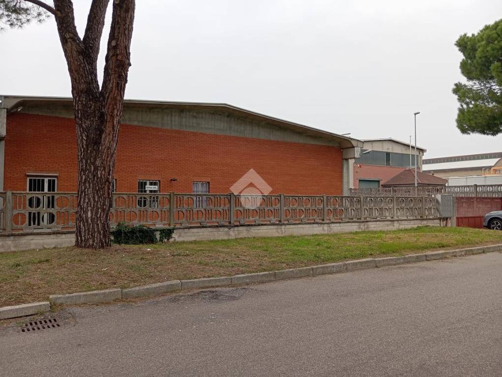 immagine annuncio 13 di 15