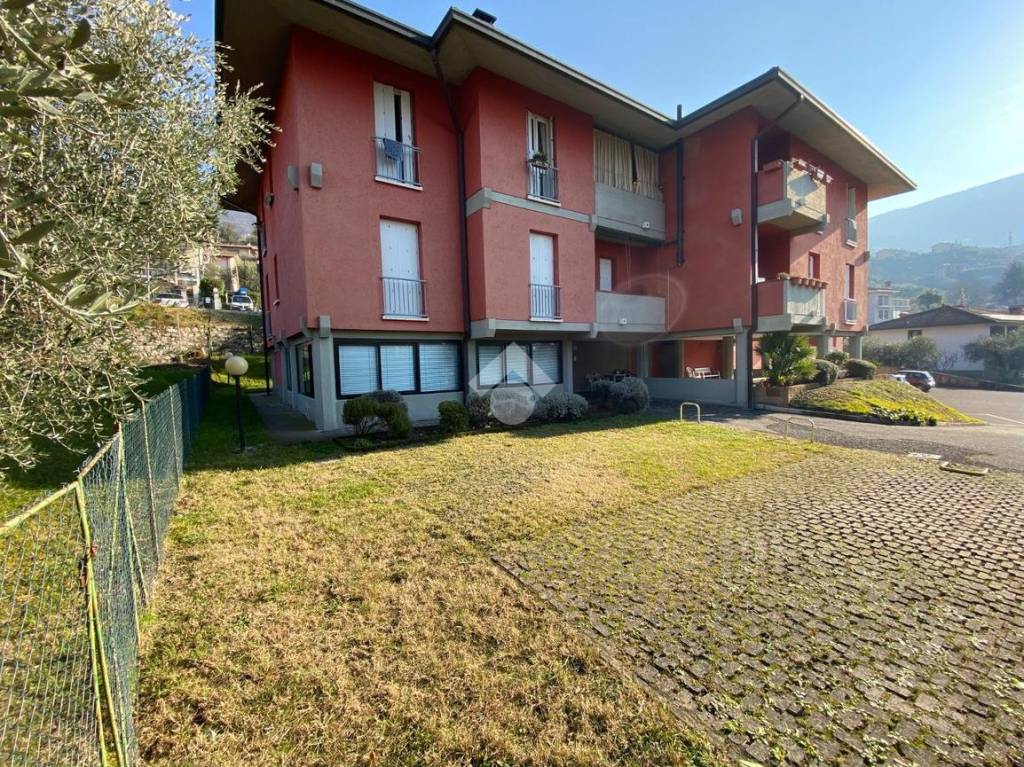 immagine annuncio 2 di 12