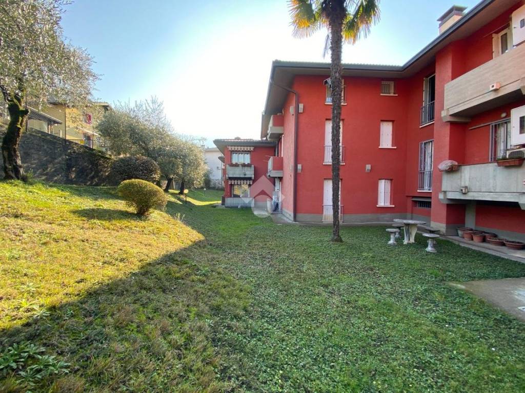 immagine annuncio 3 di 12