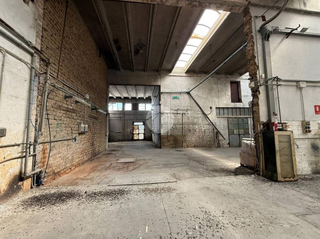 immagine annuncio 10 di 15