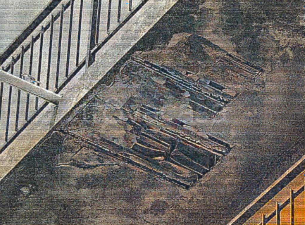 immagine annuncio 1 di 14