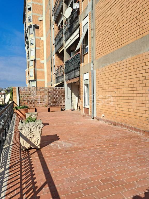 immagine annuncio 7 di 14