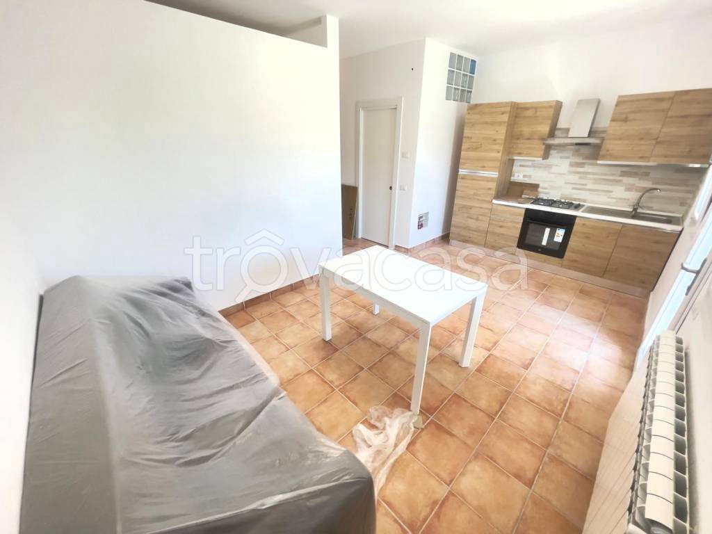 immagine annuncio 5 di 12