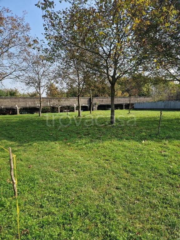 immagine annuncio 4 di 9