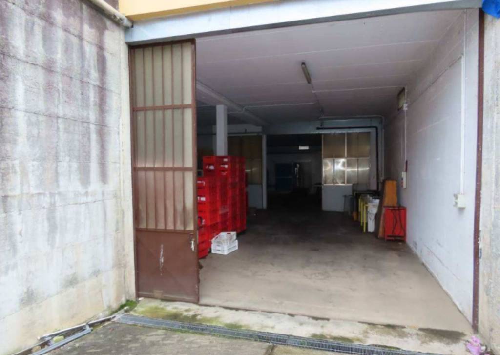 immagine annuncio 5 di 10