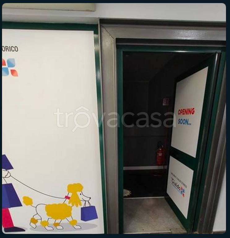 immagine annuncio 2 di 12