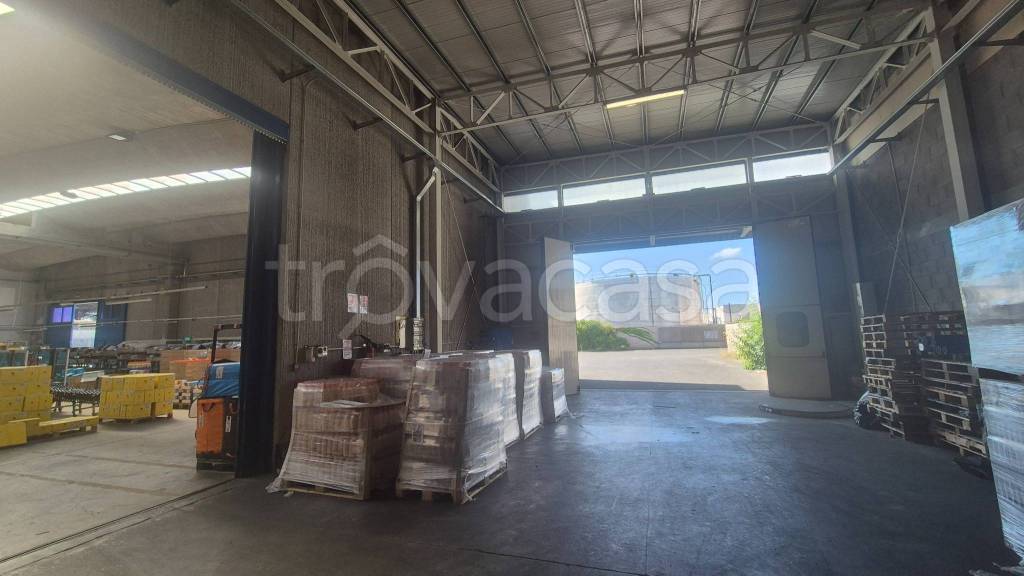 immagine annuncio 9 di 14