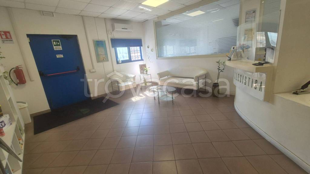 immagine annuncio 11 di 14