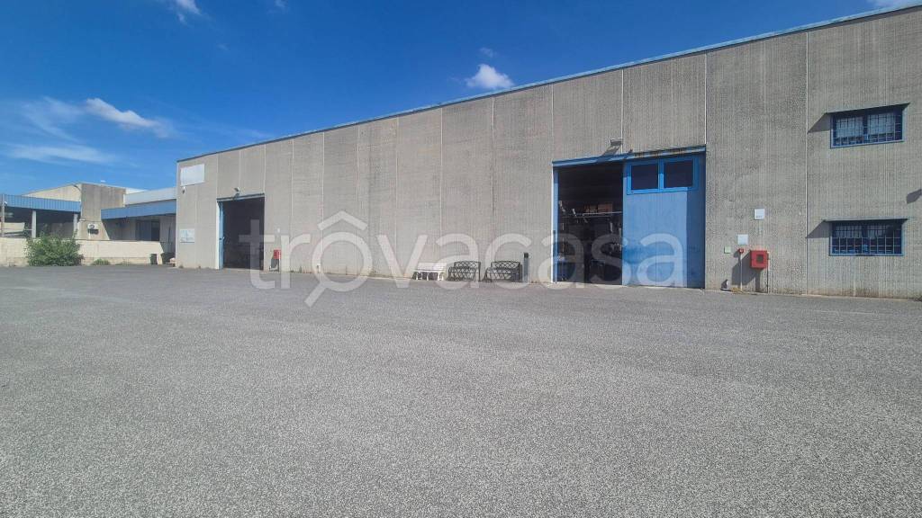 immagine annuncio 2 di 14