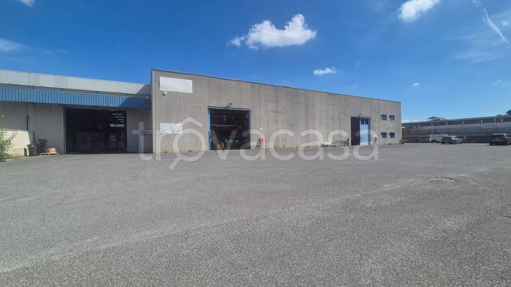 immagine annuncio 13 di 14