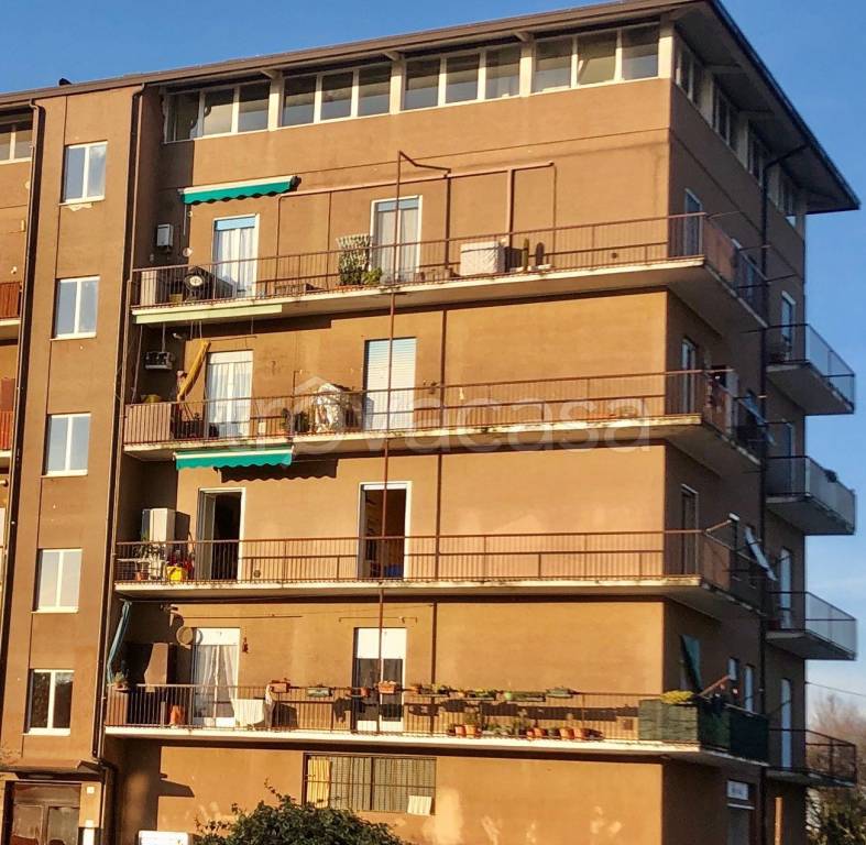 immagine annuncio 13 di 15