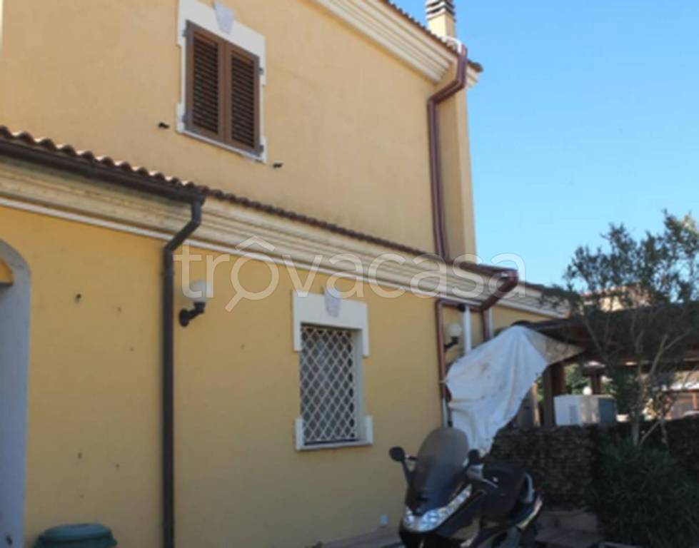 immagine annuncio 2 di 11