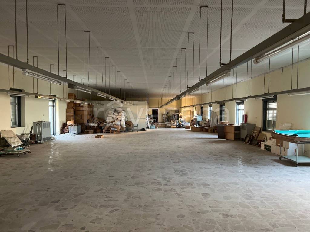 immagine annuncio 5 di 12