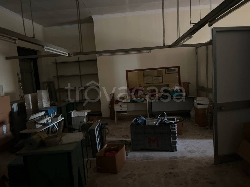 immagine annuncio 6 di 12